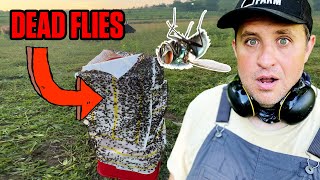 How a Farmer Won a War Against Flies