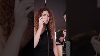Desert Rose Sting Maro&Omar