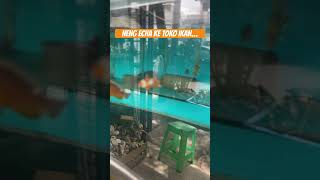 Neng Echa Ke Toko Ikan