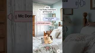Cat Memes You Finally Understand Girl Language