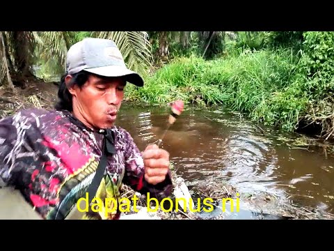 Dapat bonus!!! Sudah puluhan tahun tidak di cuci ternyata banyak betok nya Dapat bonus!!! Sudah puluhan tahun tidak di cuci ternyata banyak betok nya