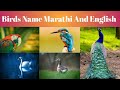 Birds Name in English &  Marathi With Pictures/ Different types of Birds / पक्षांचि नावे