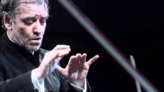 The Mariinsky Orchestra The Mariinsky Orchestra