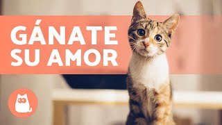 Cómo Hacer Que Tu Gato Te Quiera? 4 Consejos Para Conseguirlo