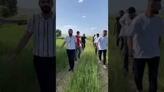 Izol Aşireti Çocukları