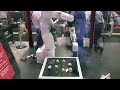 DENSO Robotics - Robot inspects chocolate eggs