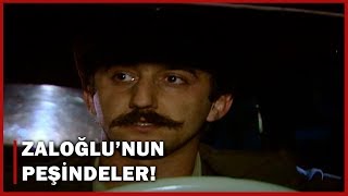 Zaloğlunun Peşine Adam Taktılar - Hanımın Çiftliği 7.Bölüm