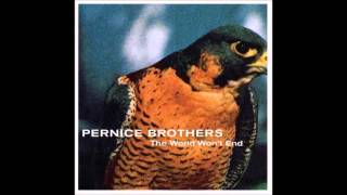 Watch Pernice Brothers Our Time Has Passed video