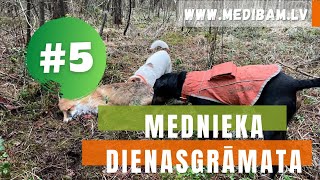 Mednieka Dienasgrāmata Brieža Kāja Un Ievainota Lapsa. Reāli Medību Skati