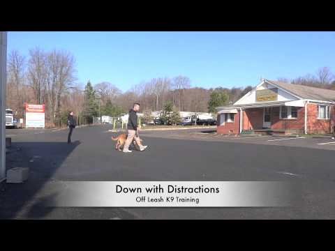 pov acg25-c1 720p hd video sunglasses