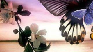 Luca Turilli'S Rhapsody Tormento E Passione