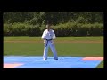 Tensho kyokushin kata 転掌