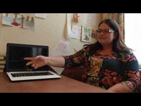 Reincarnation and Purpose with Priscila Polla