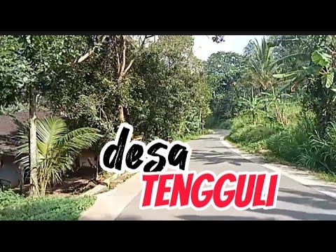 DESA TENGGULI TERKINI ❗❗ INDONESIAN BEAUTIFUL VILLAGE