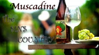 Watch Sins Country Muscadine video