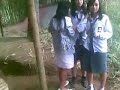 image Heboh Perkelahian Anak Sma