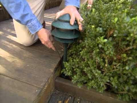 How to Install Low-Voltage Outdoor Lighting - YouTube