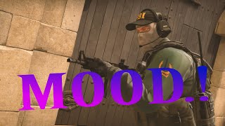 MOOD  | A CS GO MONTAGE
