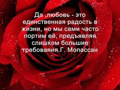 Статусы про смысл жизни цитаты Статусы про смысл жизни цитаты