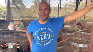 Pronto - Recorrido Y Conversatorio Con La Leyenda Dany Paez