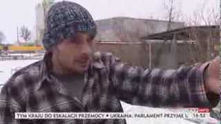 Zima Zabójcza Dla Czworonogów Puls Polski Tvp Info, 30.01.2014
