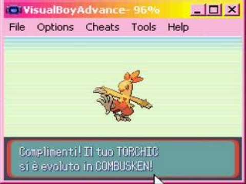 At what level does Torchic evolve?