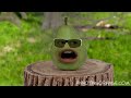 realannoyingorange