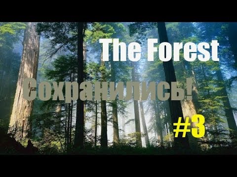 Где находятся сохранения в forest Где находятся сохранения в forest