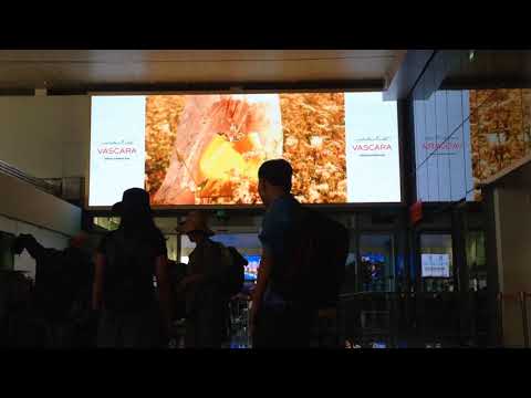 VASCARA LED 3 02 07 2018