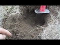 Michigan Detectorist Silver Dime Trifecta