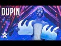 Dolphins bizzare act won our hearts│Supertalent 2018│Auditions Dolphins bizzare act won our hearts│Supertalent 2018│Auditions