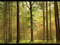 solitudes