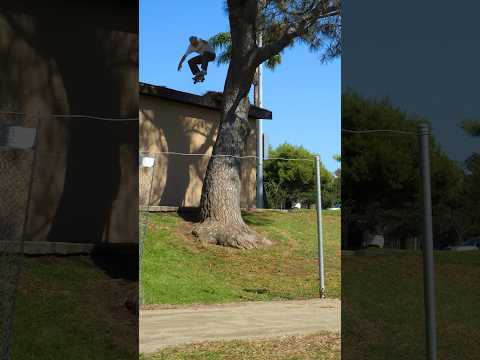 Ollies Off A Roof Into a Tree! 🤯 Kieran Woolley
