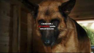 Cats And Dogs The Revenge Of Kitty Galore - Official Trailer Hd