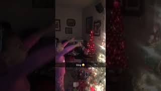Funny Christmas tree fail