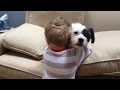 Dog Won't Fetch but His Boy Still Loves Him