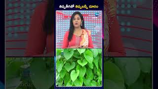 Benefits Of Giloy Leaf Thippa Theega తపపతగత తపపలనన దర Zee Telugu News