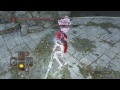 Dark Souls 2 PvP: Brothers of Blood: Crown of the Old Ivory King - SIR FABIAN OF ELEUM LOYCE BUILD