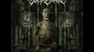 Watch Sufferage War Belligerence video