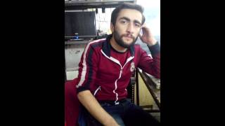 Ali Balı Ses