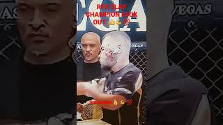 Theenduandvitothepitbull1428