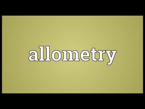 Header of allometry