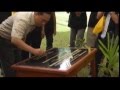 Rehabilitation at TWNC, Tambling Wildlife Nature Conservation