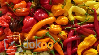 Scharfes Essen - Kann das denn gesund sein? | Doku