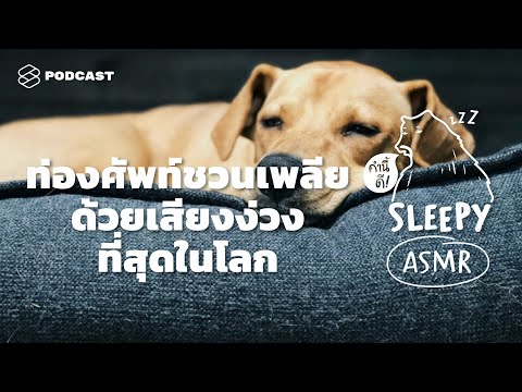 ท่องศัพท์ชวนเพลีย ด้วยเสียงง่วงที่สุดในโลก (Music Box V.) | คำนี้ดี SLEEPY EP.28