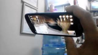 Azarda Abaza Avı D