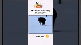 Batoo Batoo Horse Ara Hai Ya Jara Hai..?