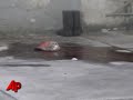 Third Mass Killing in a Week in Mexico