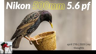 Nikon 500mm 5.6pf first thoughts #nikon500mm #nikonz7 #photography