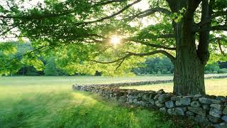 Sweet Guitar Love Songs 2018 – Calming Instrumental Music – Guitar Relaxing Music for Sleep3